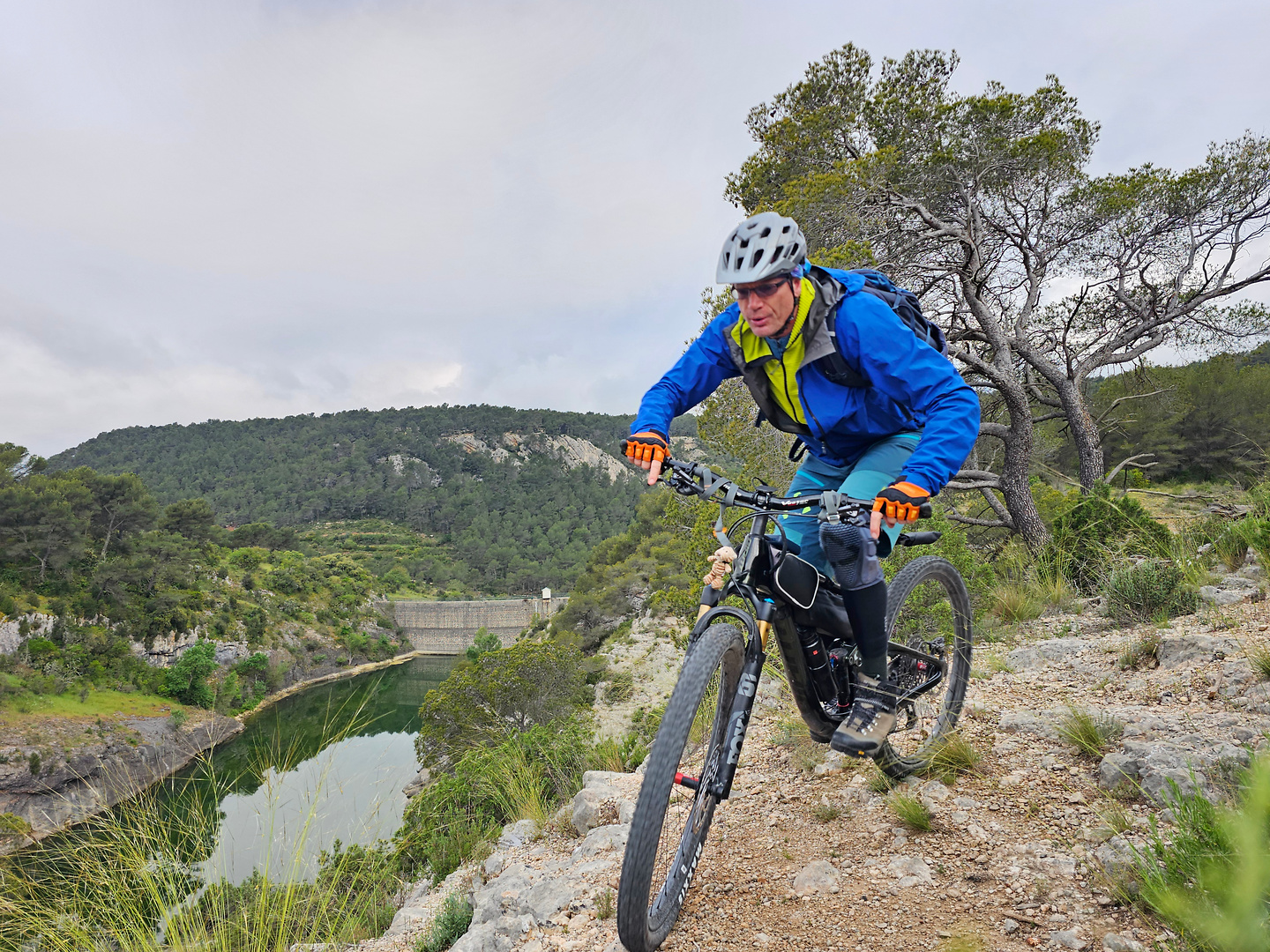 zola-trail2.jpg