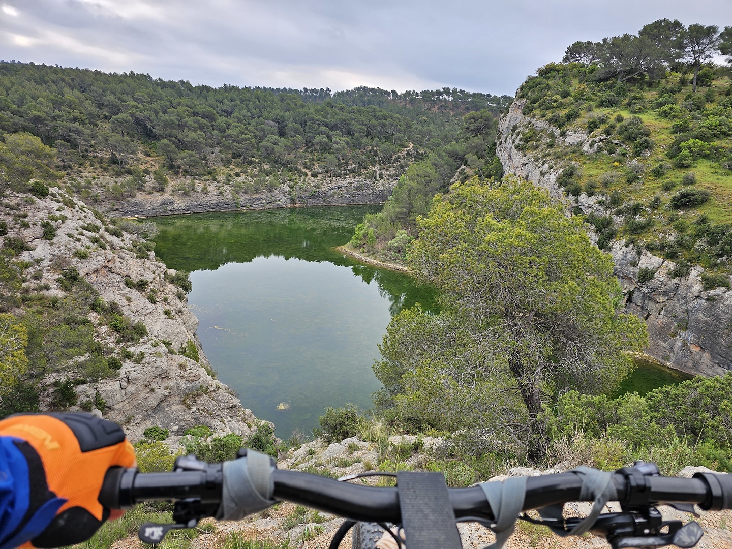 zola-trail3.jpg