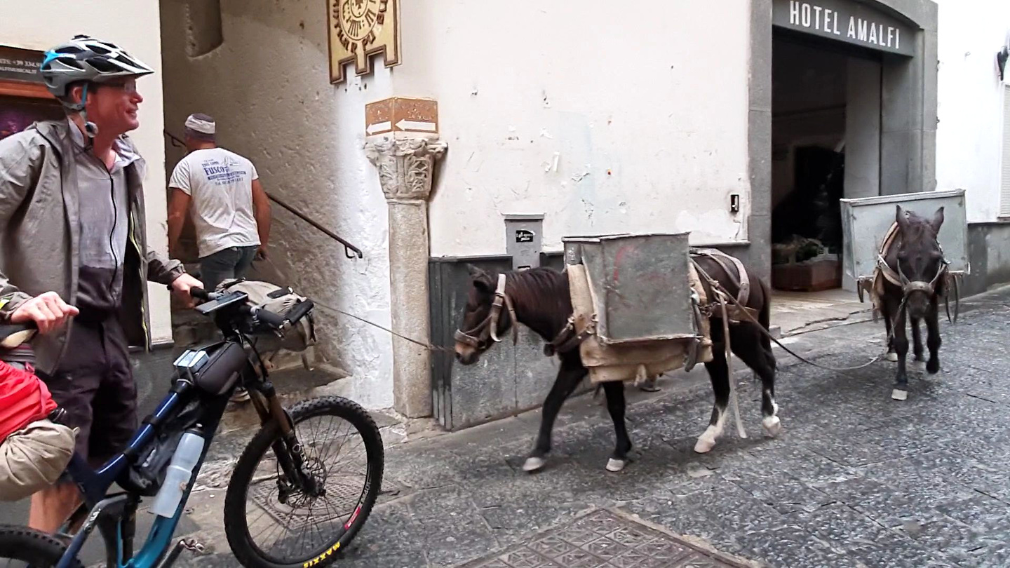 amalfi-donkeys2.jpg