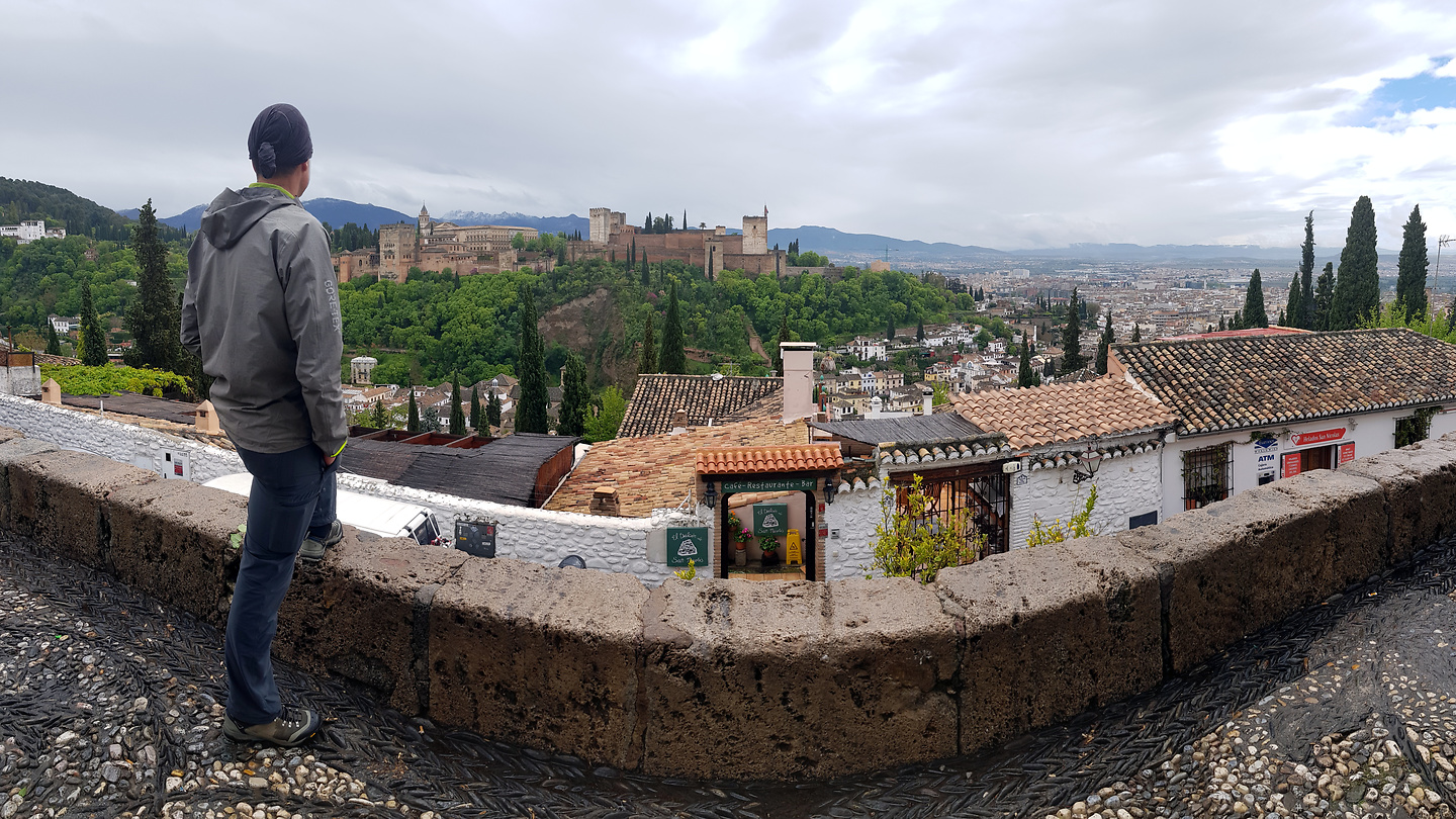 granada-alhambrazorro2.jpg