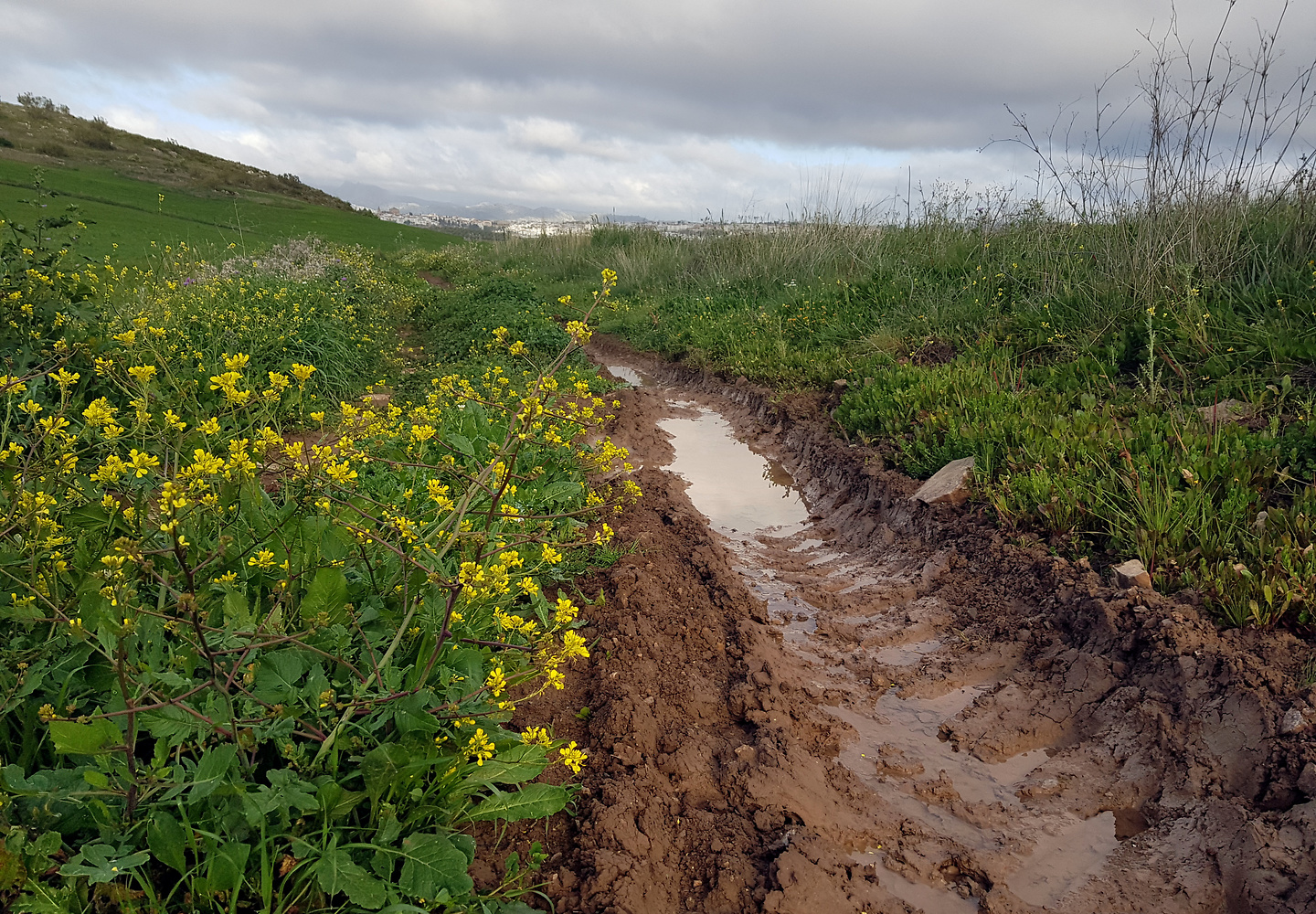 ronda-mud1.jpg