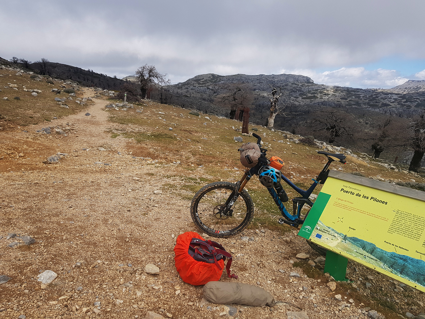 sierranieves-top.jpg