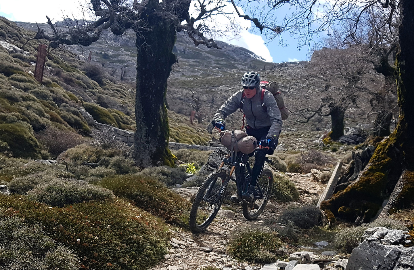 sierranieves-trail5.jpg