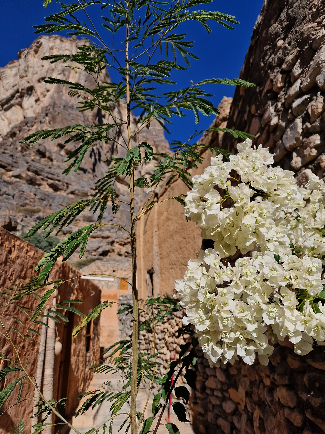 wadighul-hike11.jpg