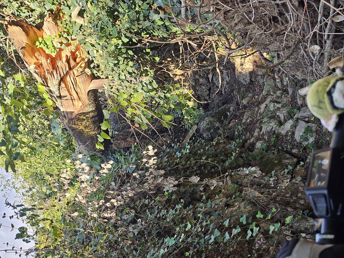 agiosnik-trail3.jpg