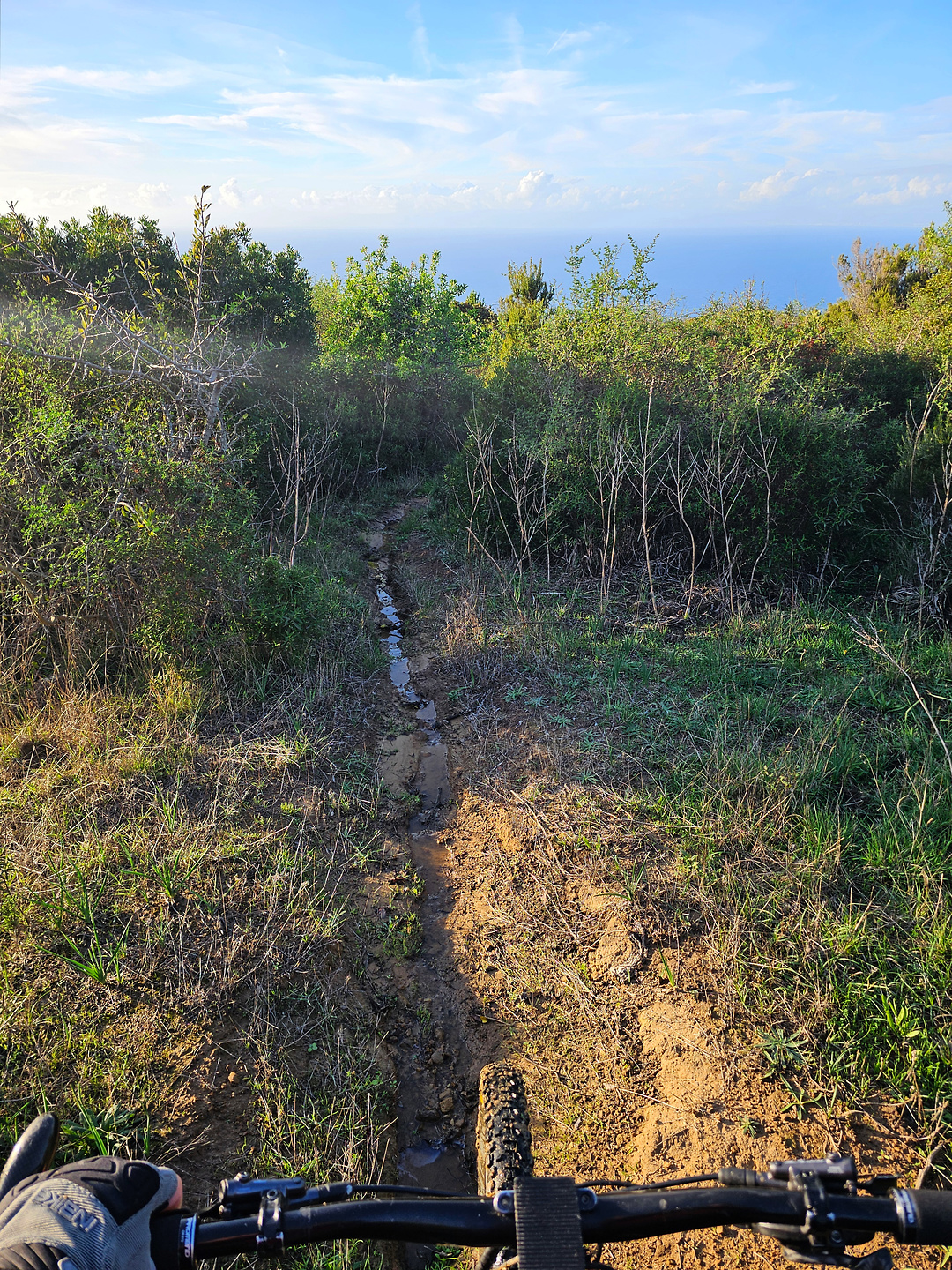 agropoli-trail6.jpg