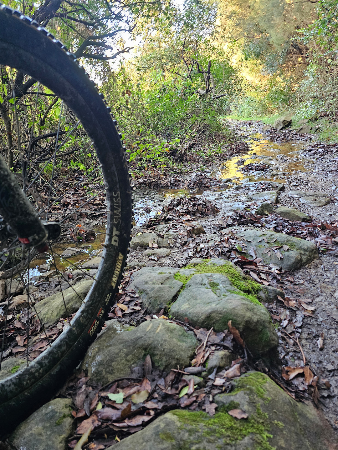 agropoli-trail7.jpg
