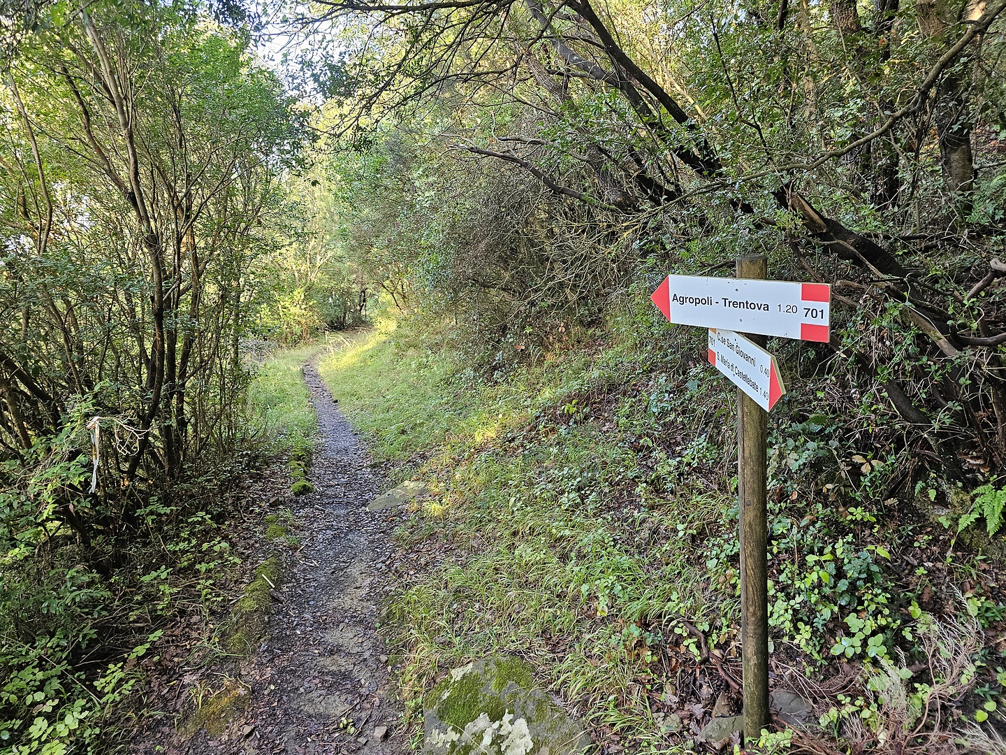 agropoli-trail8.jpg