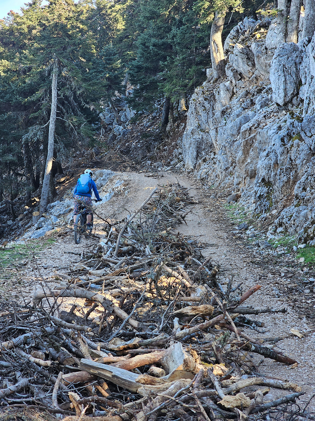 ainos-trail1.jpg