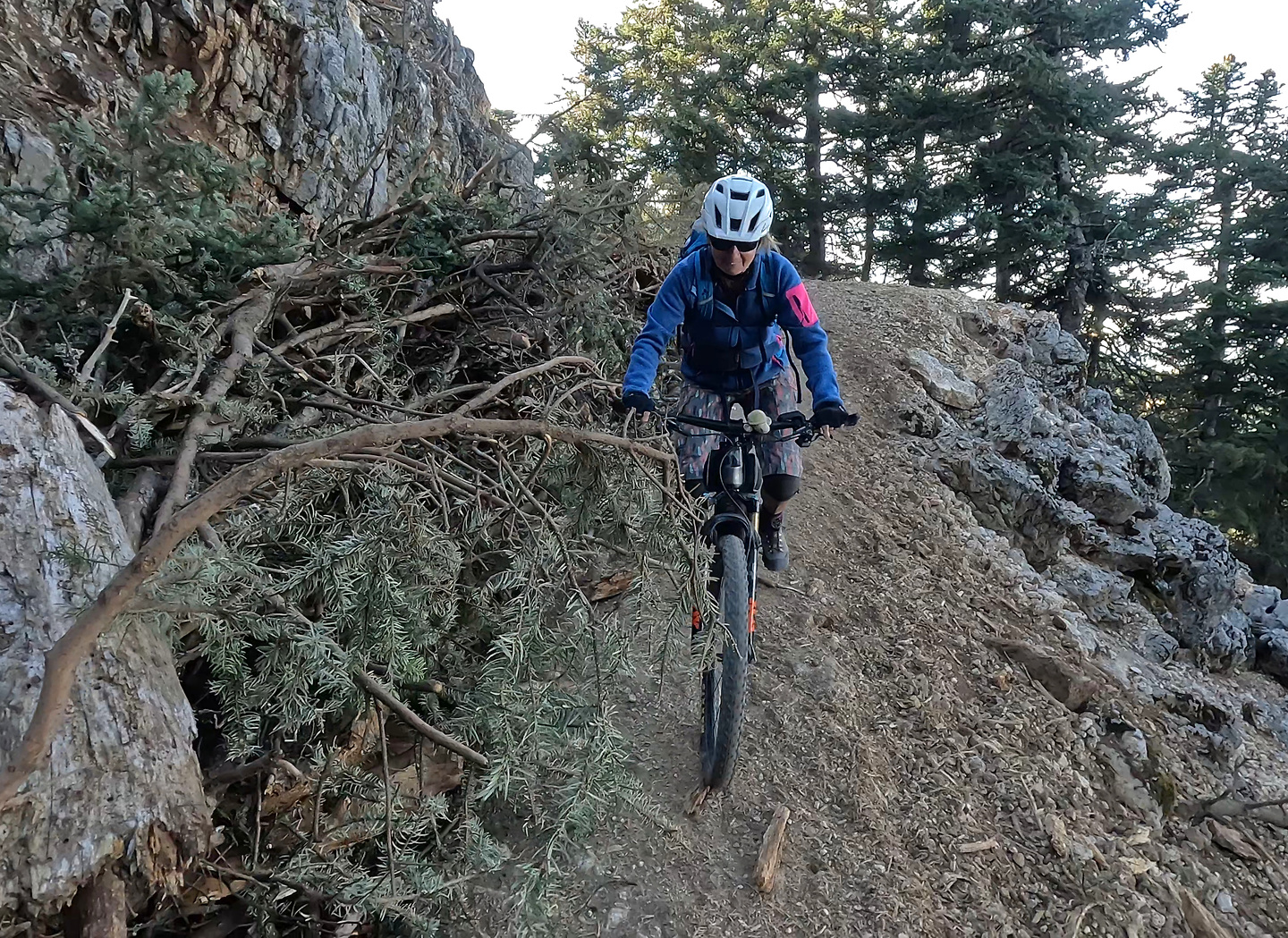 ainos-trail2.jpg