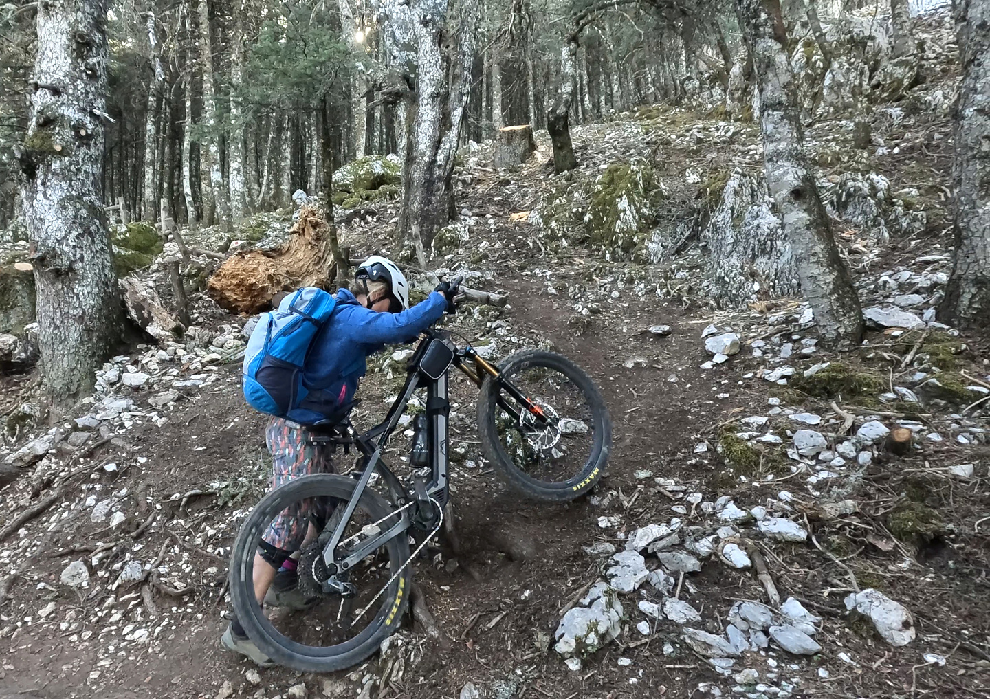ainos-trail4.jpg