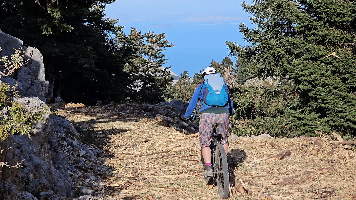 ainos-trail8.jpg