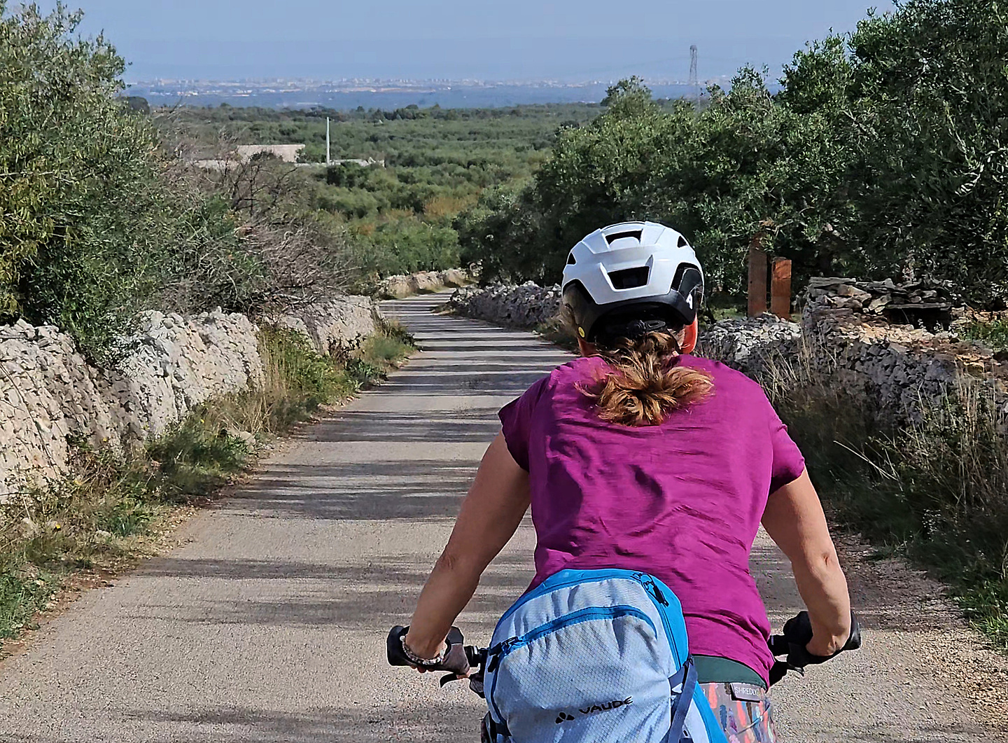 bari-road3.jpg