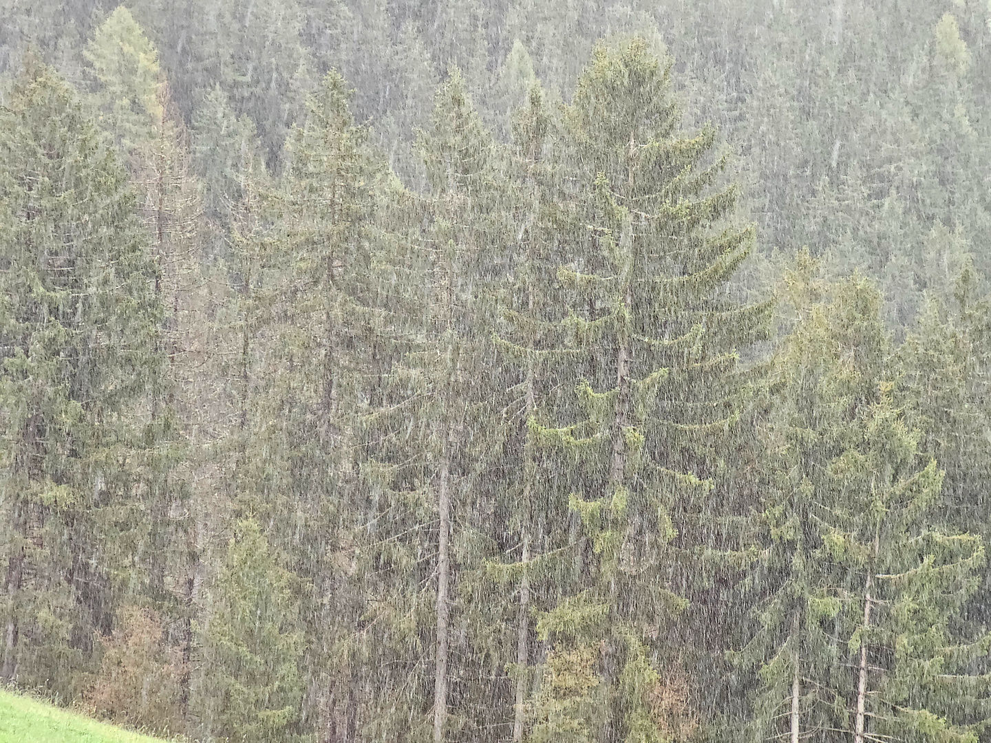 brixen-rain1.jpg
