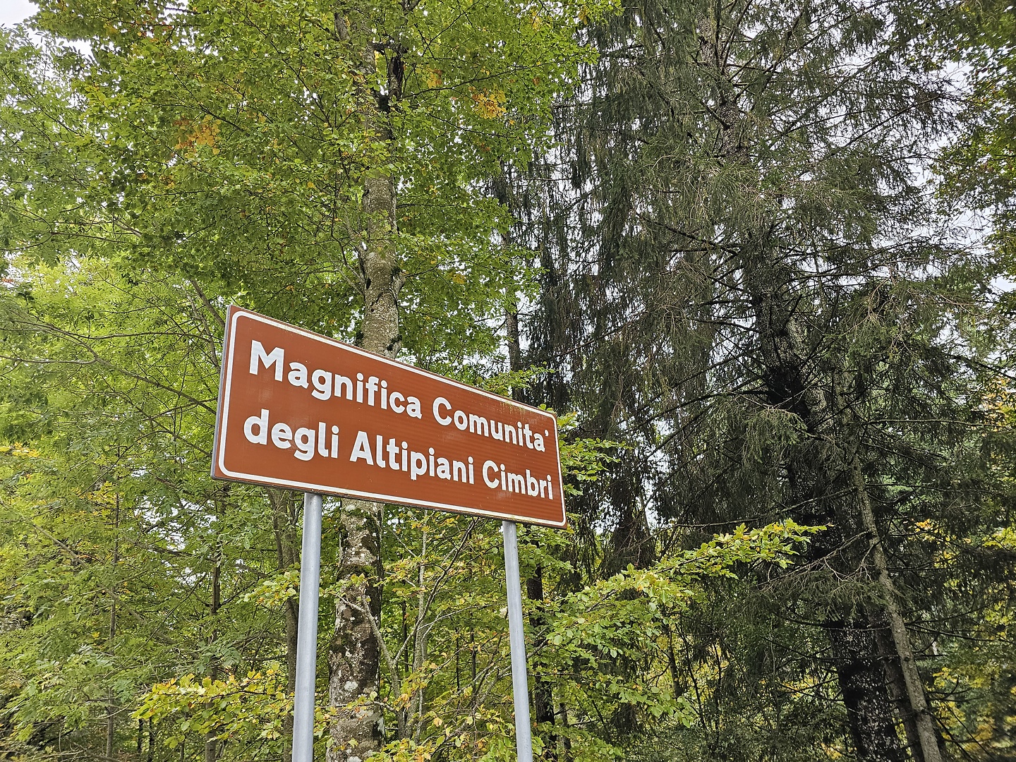 caldonazzo-uphill5.jpg