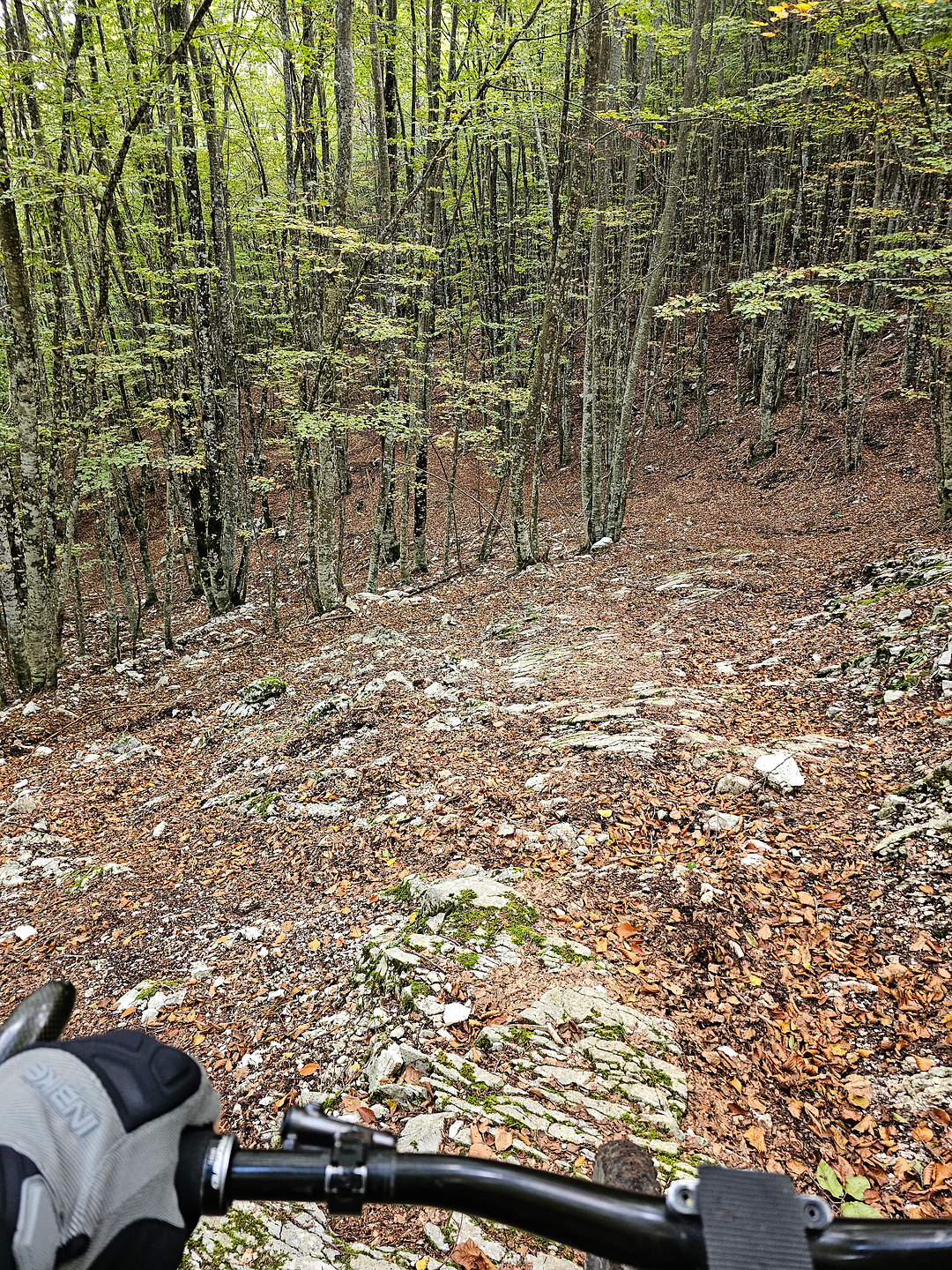 cervati-trail10.jpg