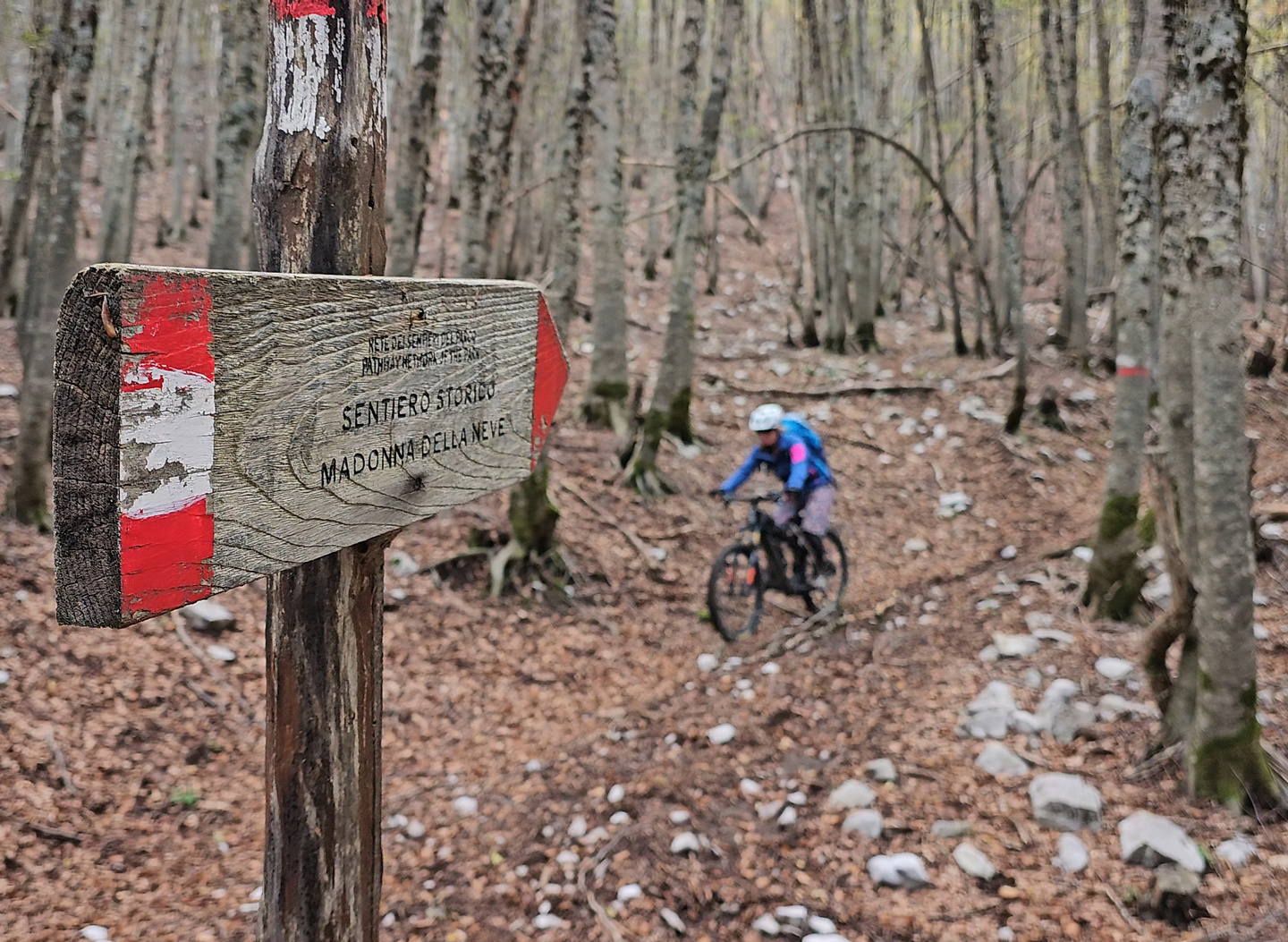 cervati-trail7.jpg