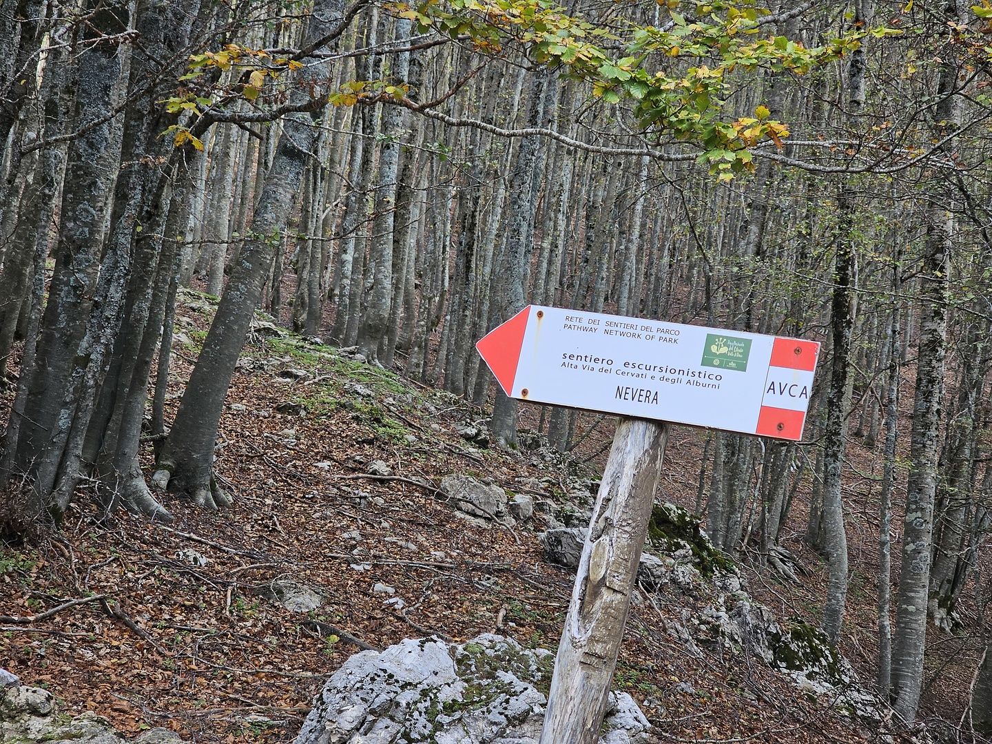 cervati-uphill4.jpg