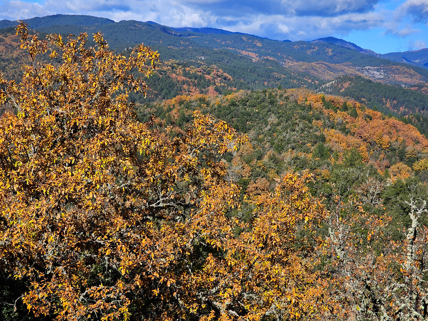 ioannina-road5.jpg
