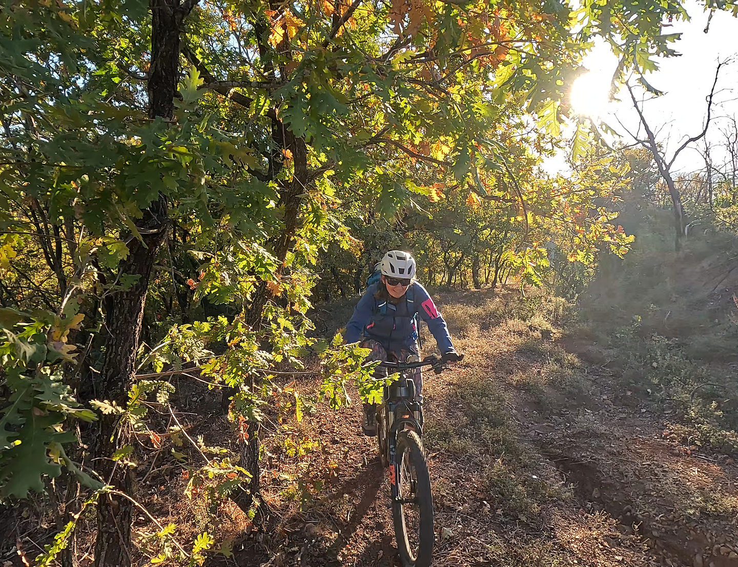 isaris-trail1.jpg