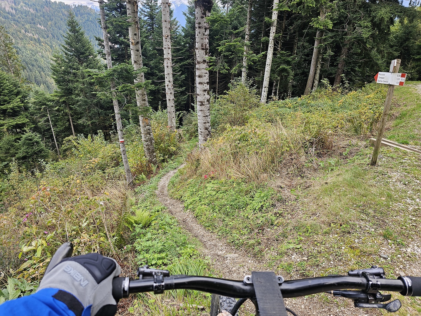 levico-trail3.jpg