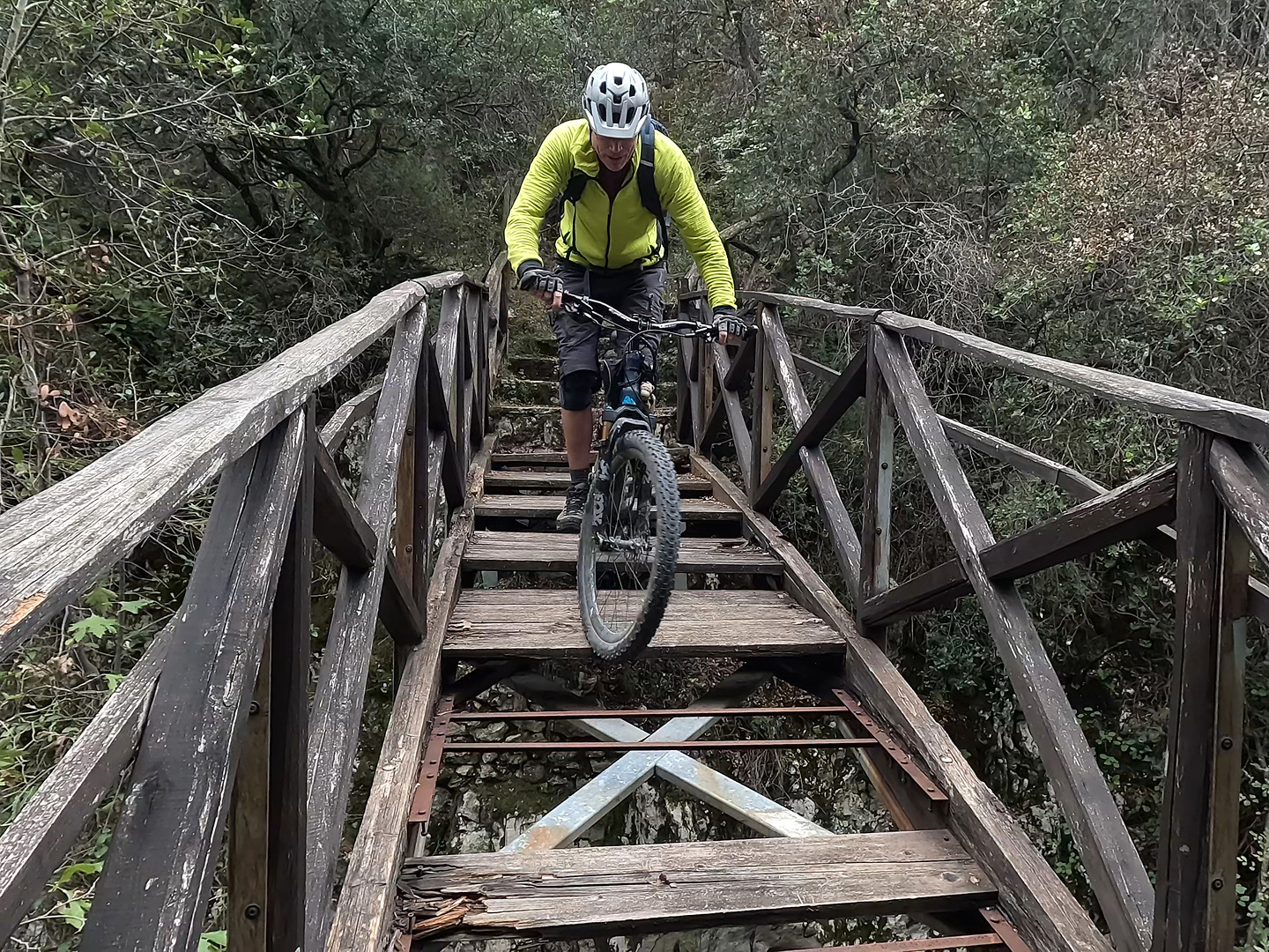 melissa-trail2.jpg