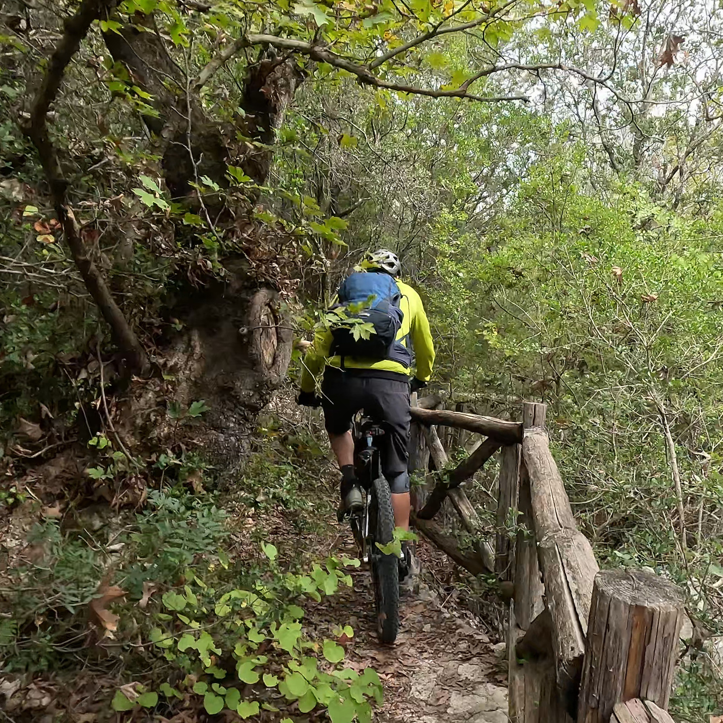 melissa-trail3.jpg