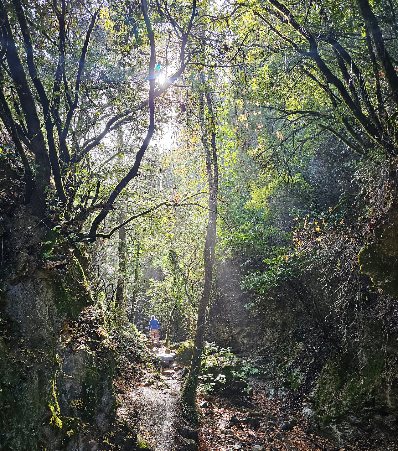 meskla-gorge1.jpg