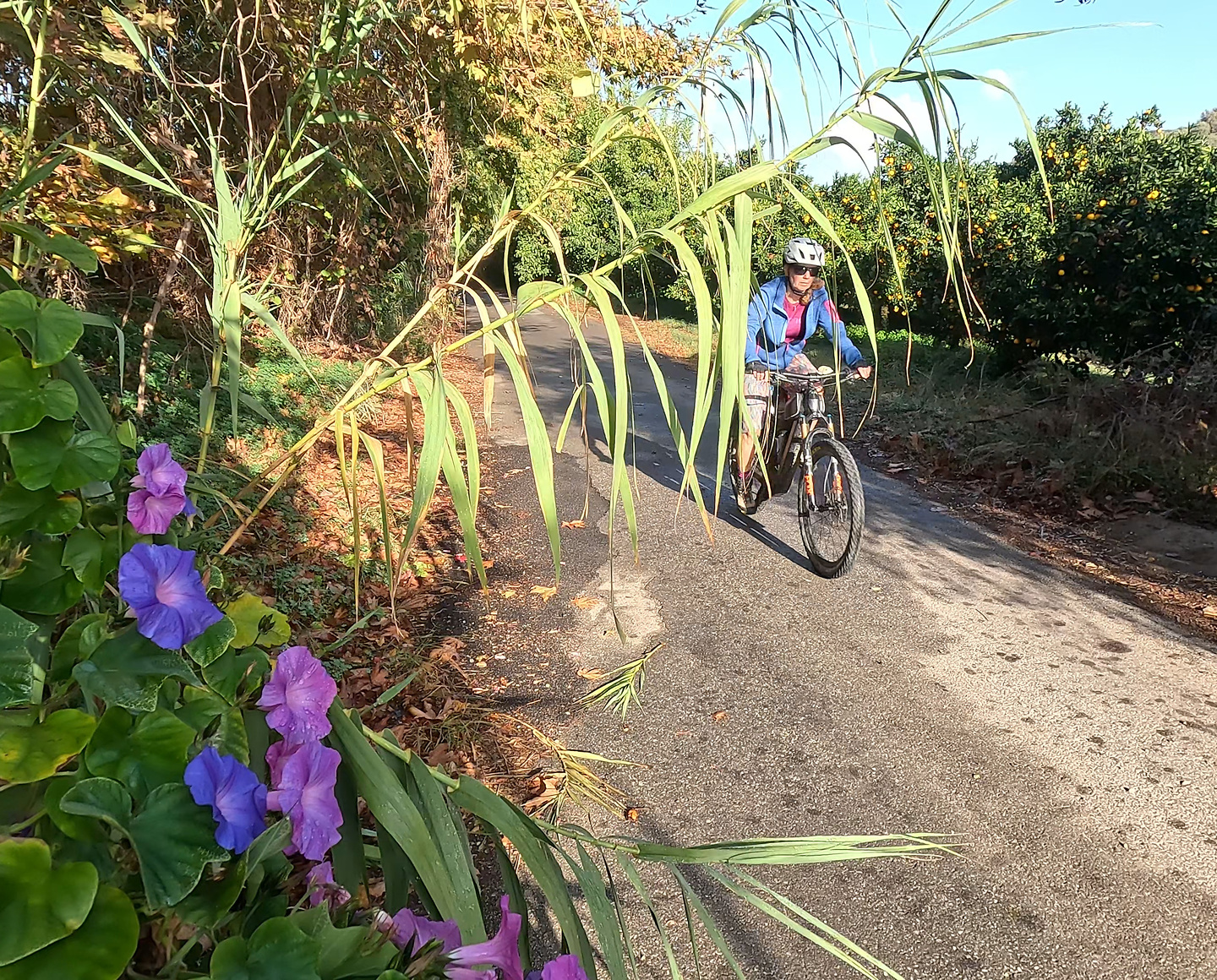 meskla-uphill0.jpg