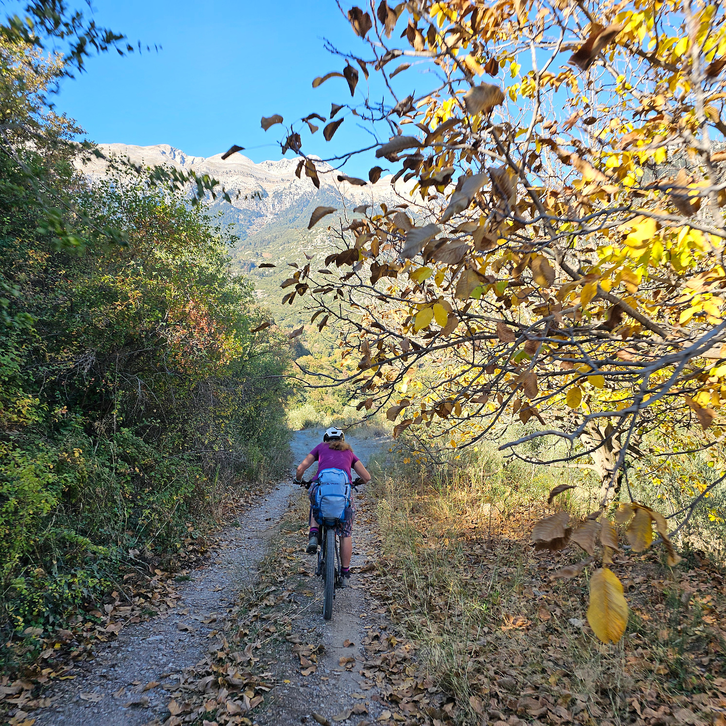 mystras-road2.jpg