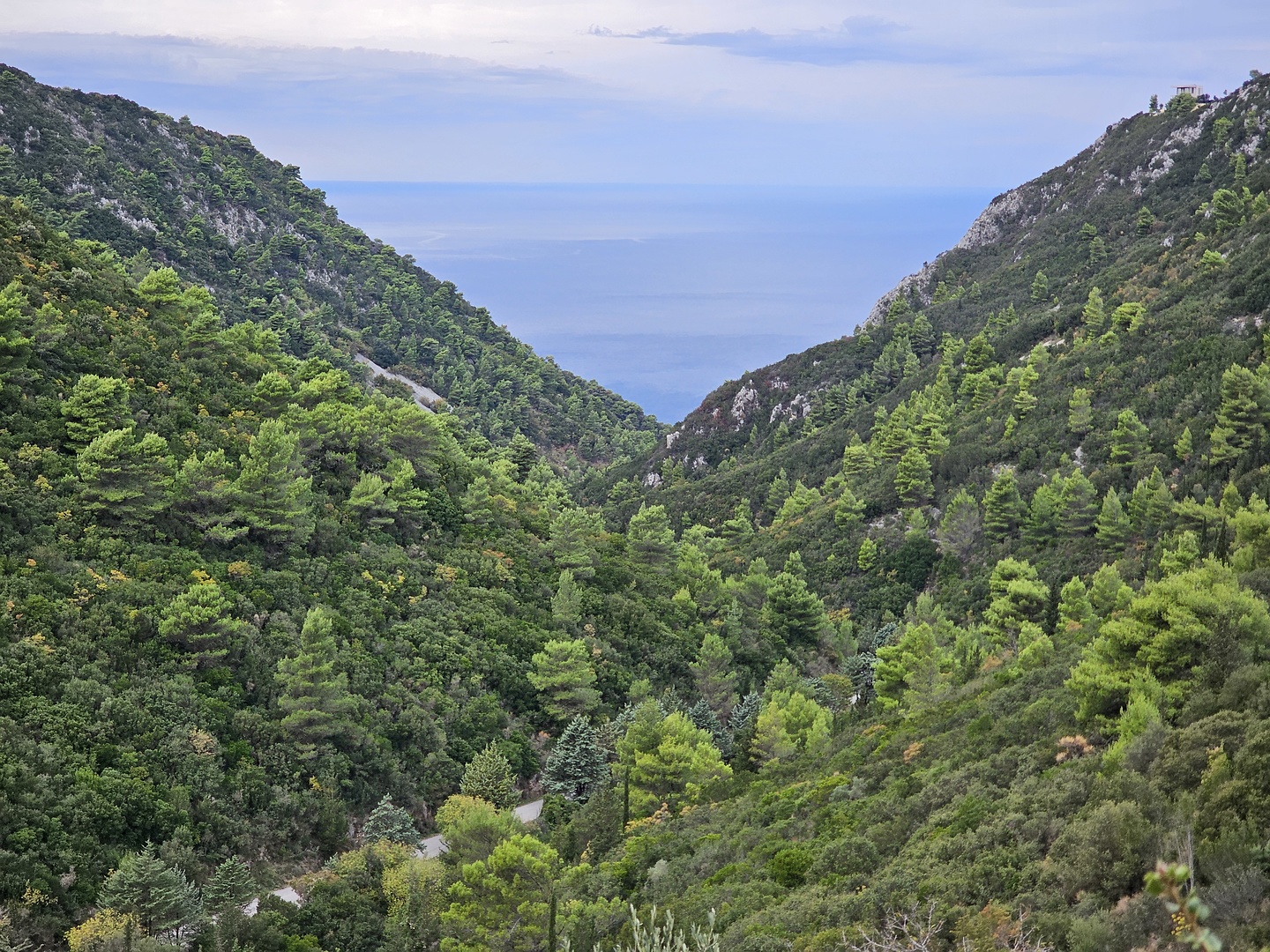 nikitas-road1.jpg