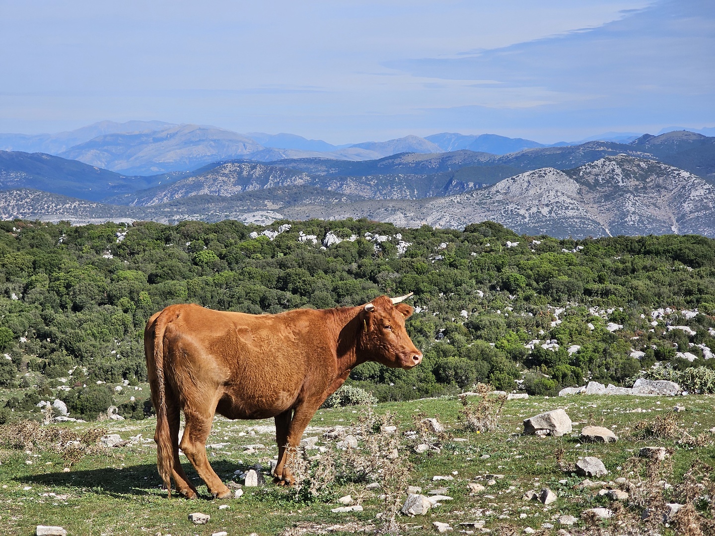 perdika-road9.jpg