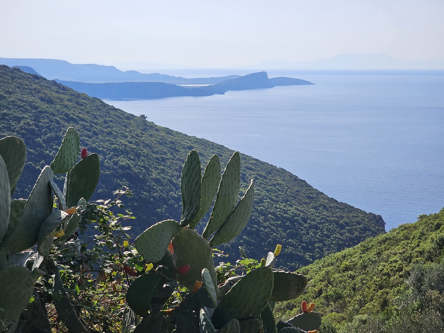 preveza-road1.jpg