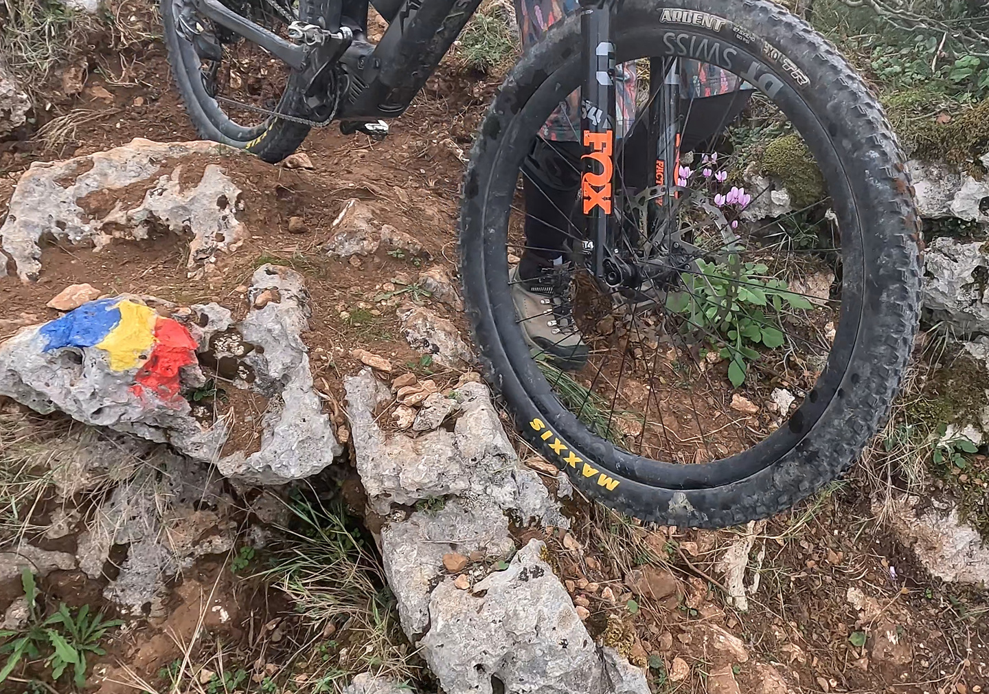 profitisilias-trail2.jpg