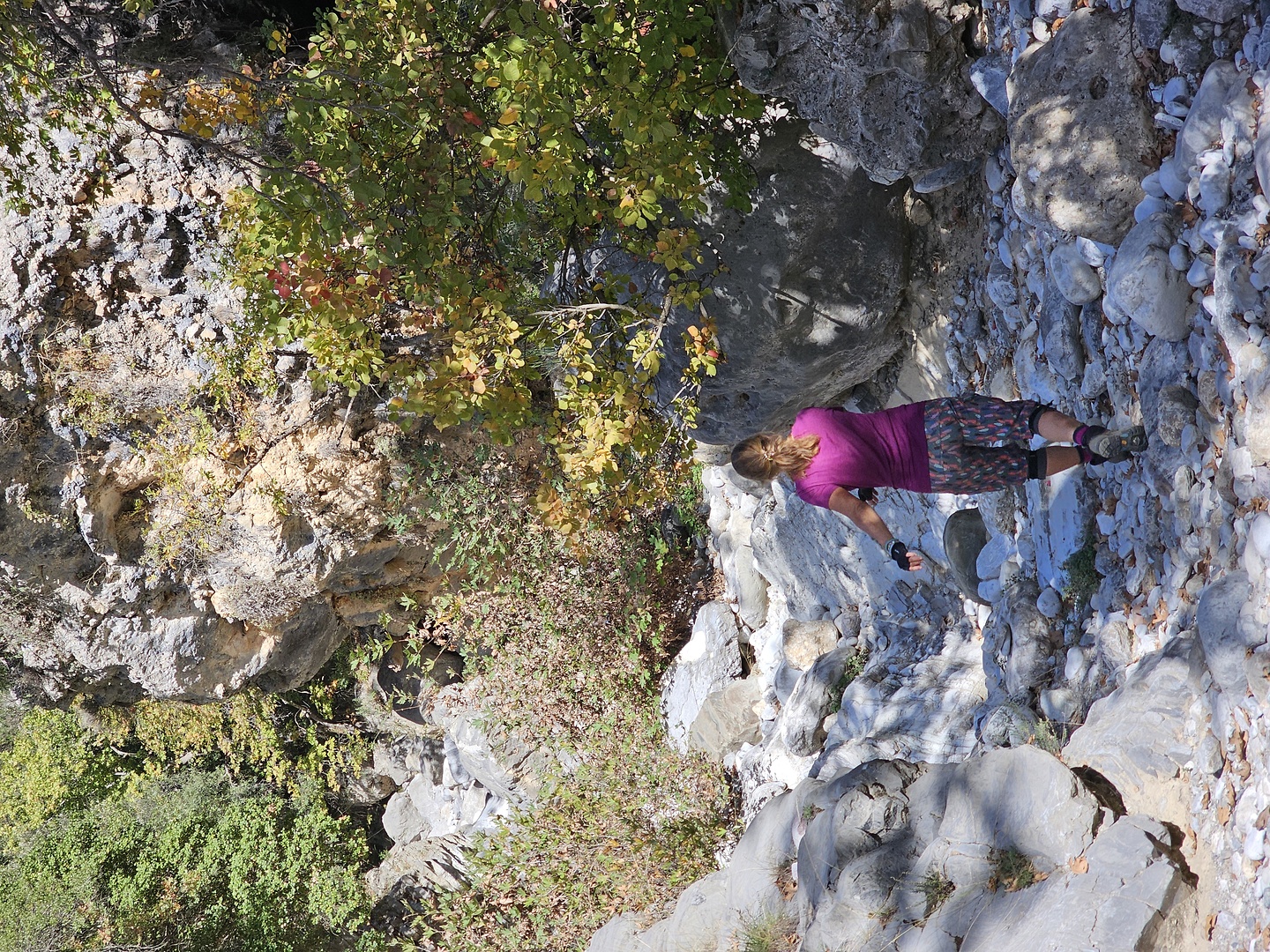ridomo-hike2.jpg