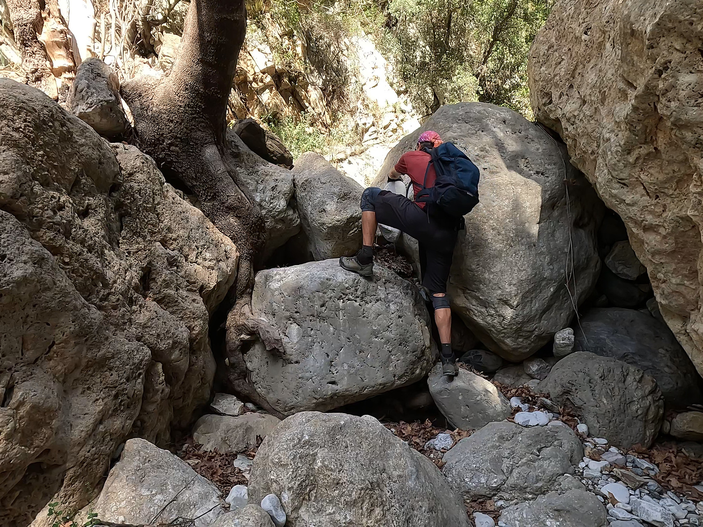 ridomo-hike4.jpg