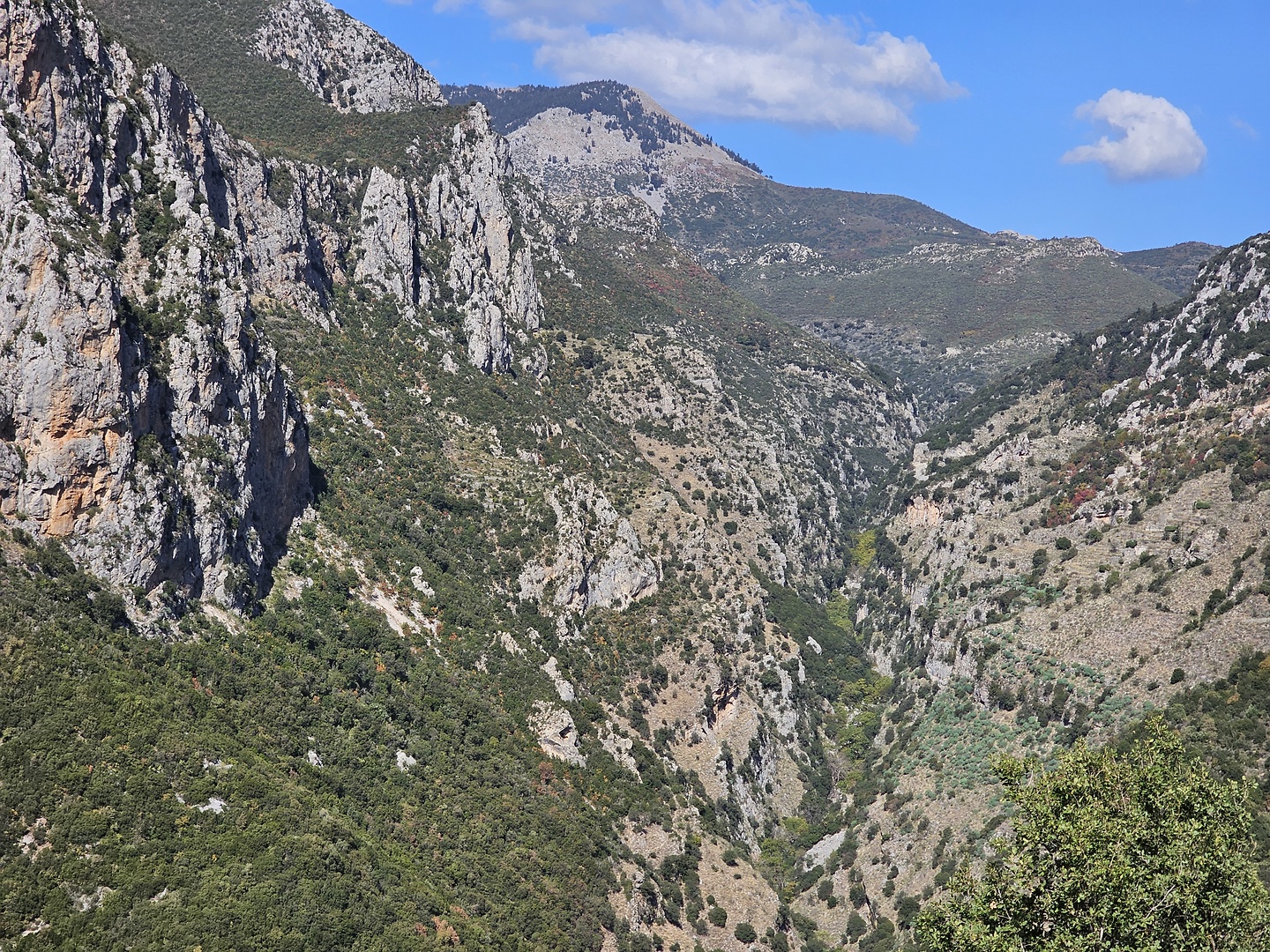 ridomo-hike5.jpg