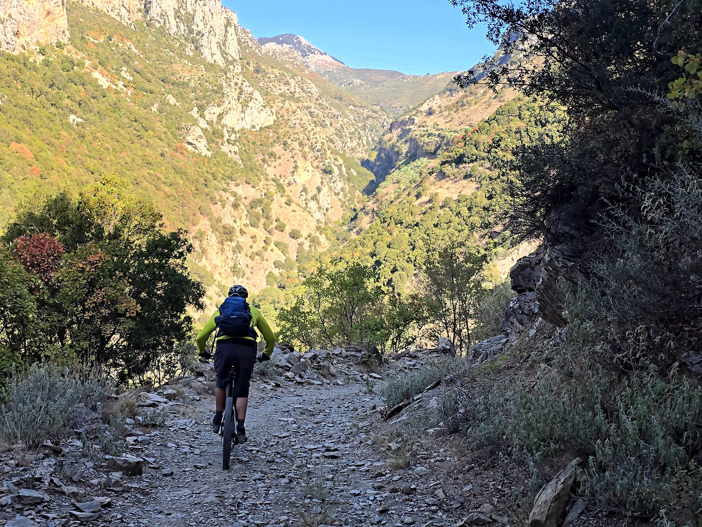 ridomo-trail2.jpg