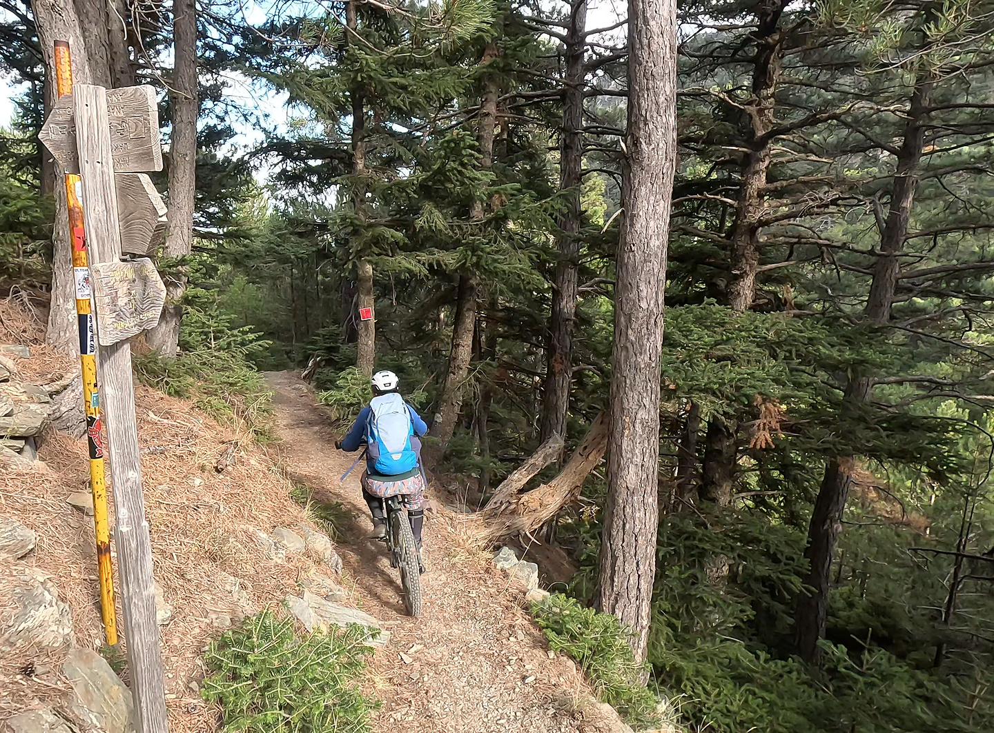 taygetos-trail4.jpg