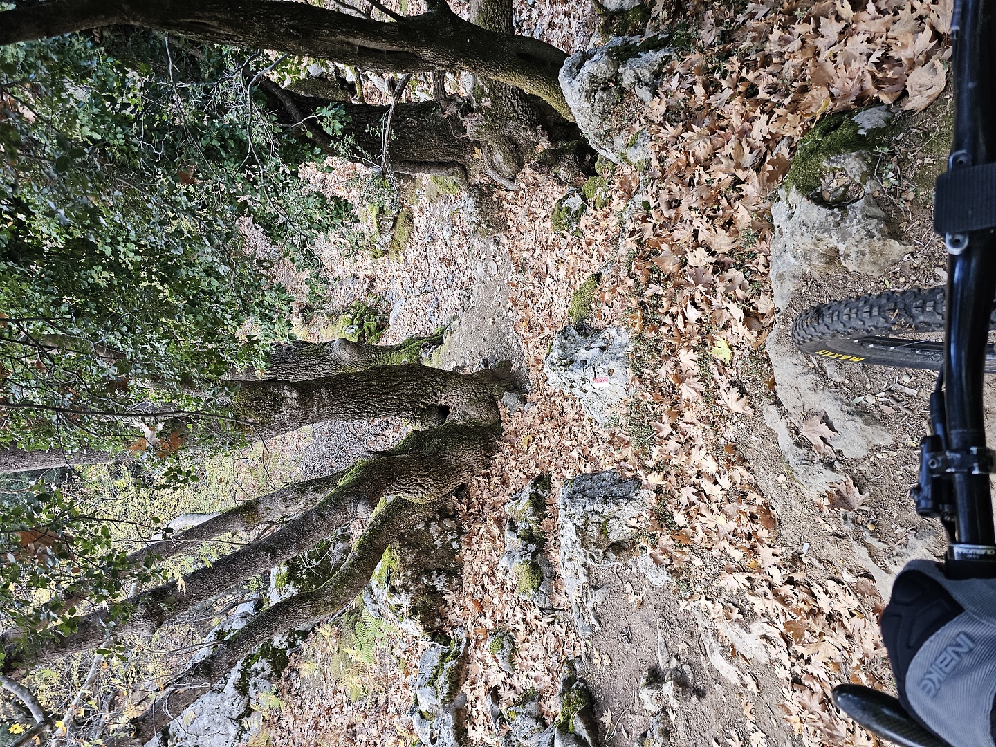 theriso-trail3.jpg