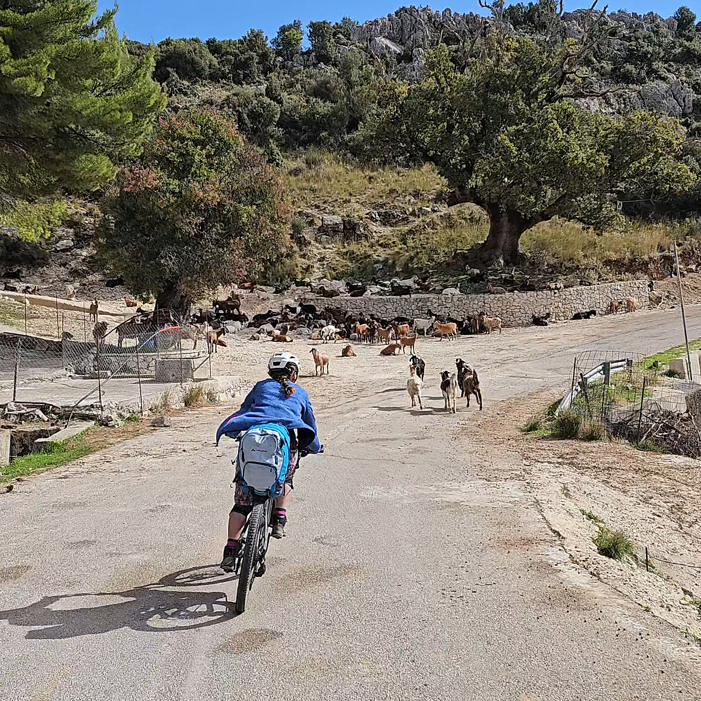 vassiliki-downhill4.jpg