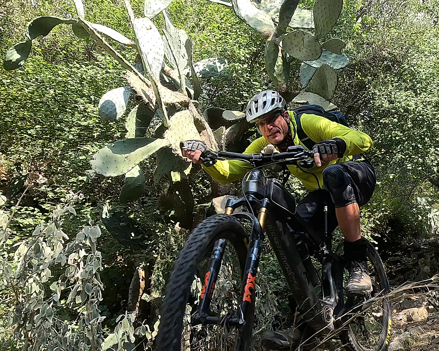 viros2-trail2.jpg