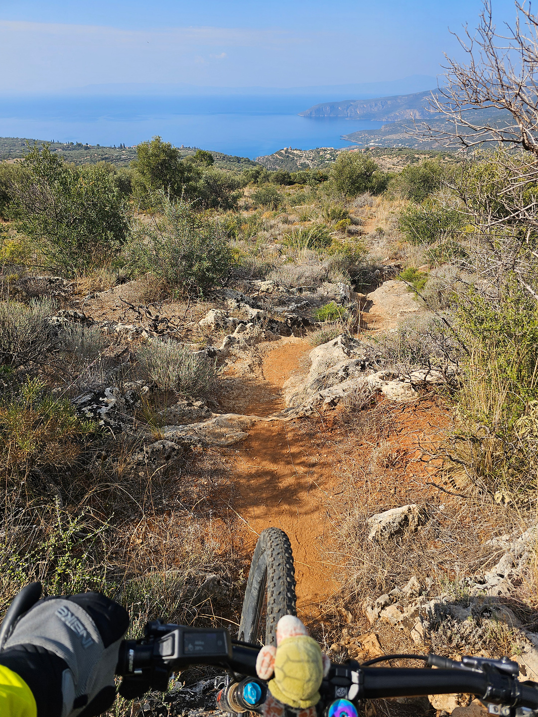 viros2-trail3.jpg