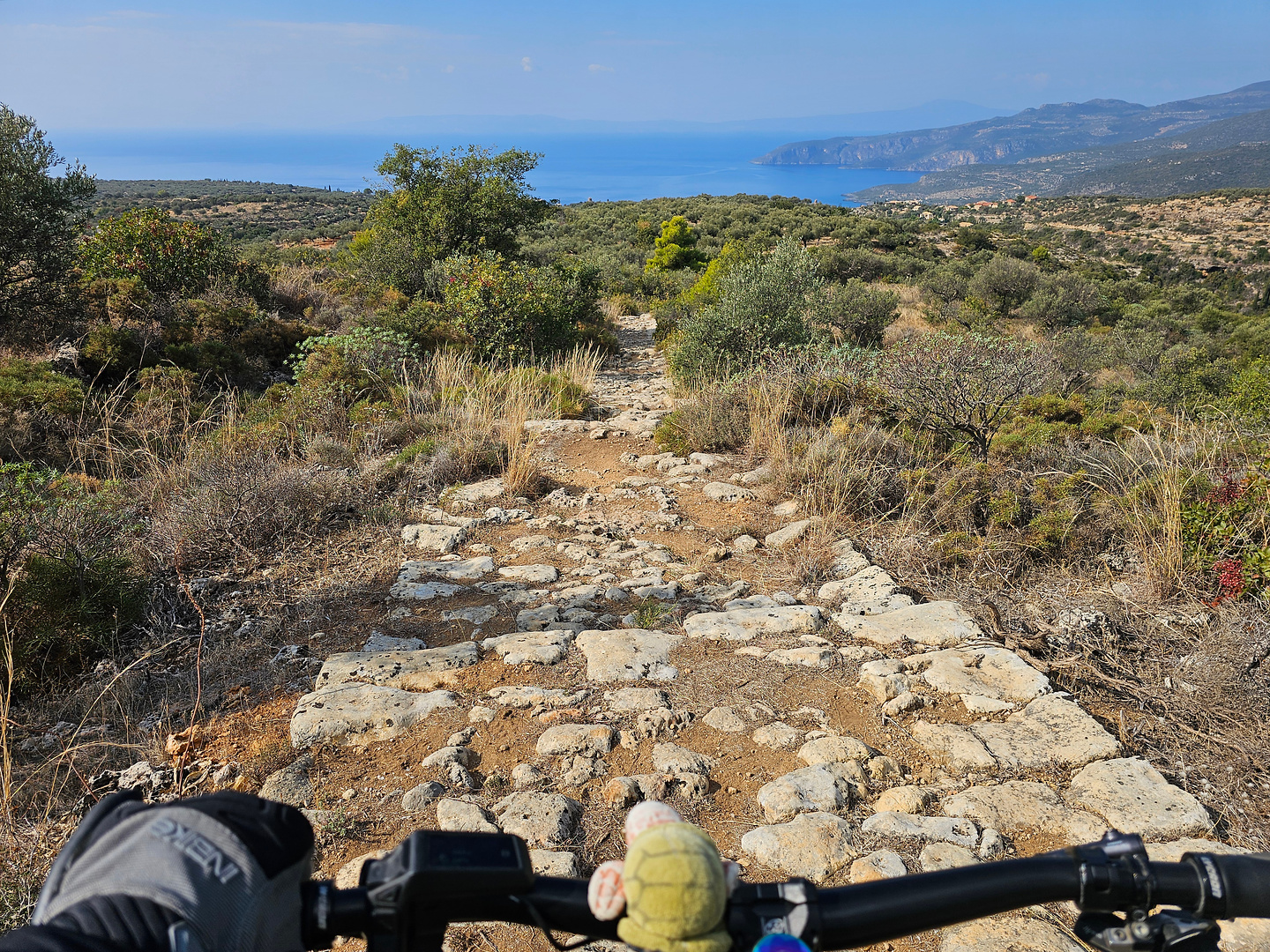 viros2-trail5.jpg