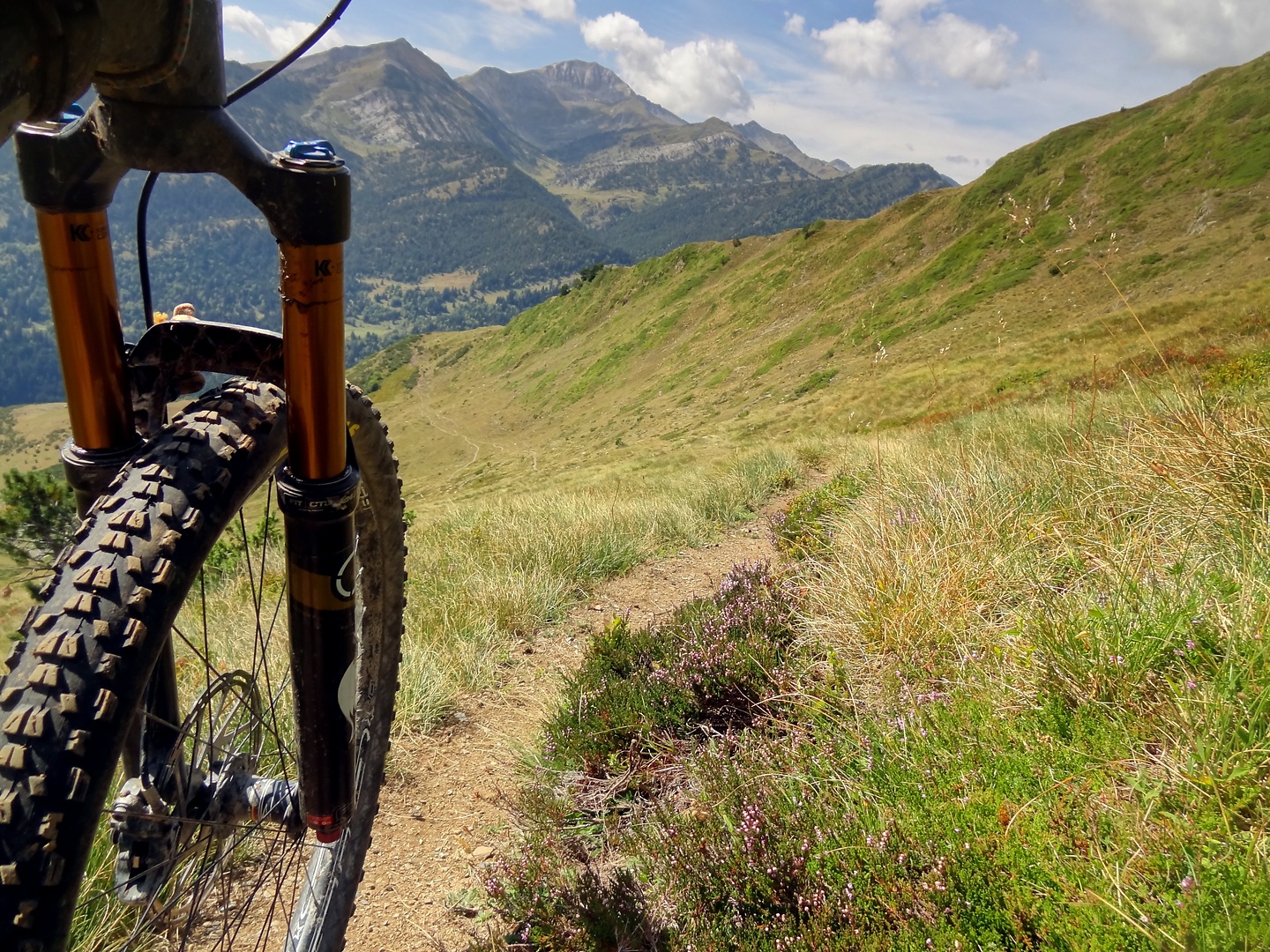 aula-trail4.jpg