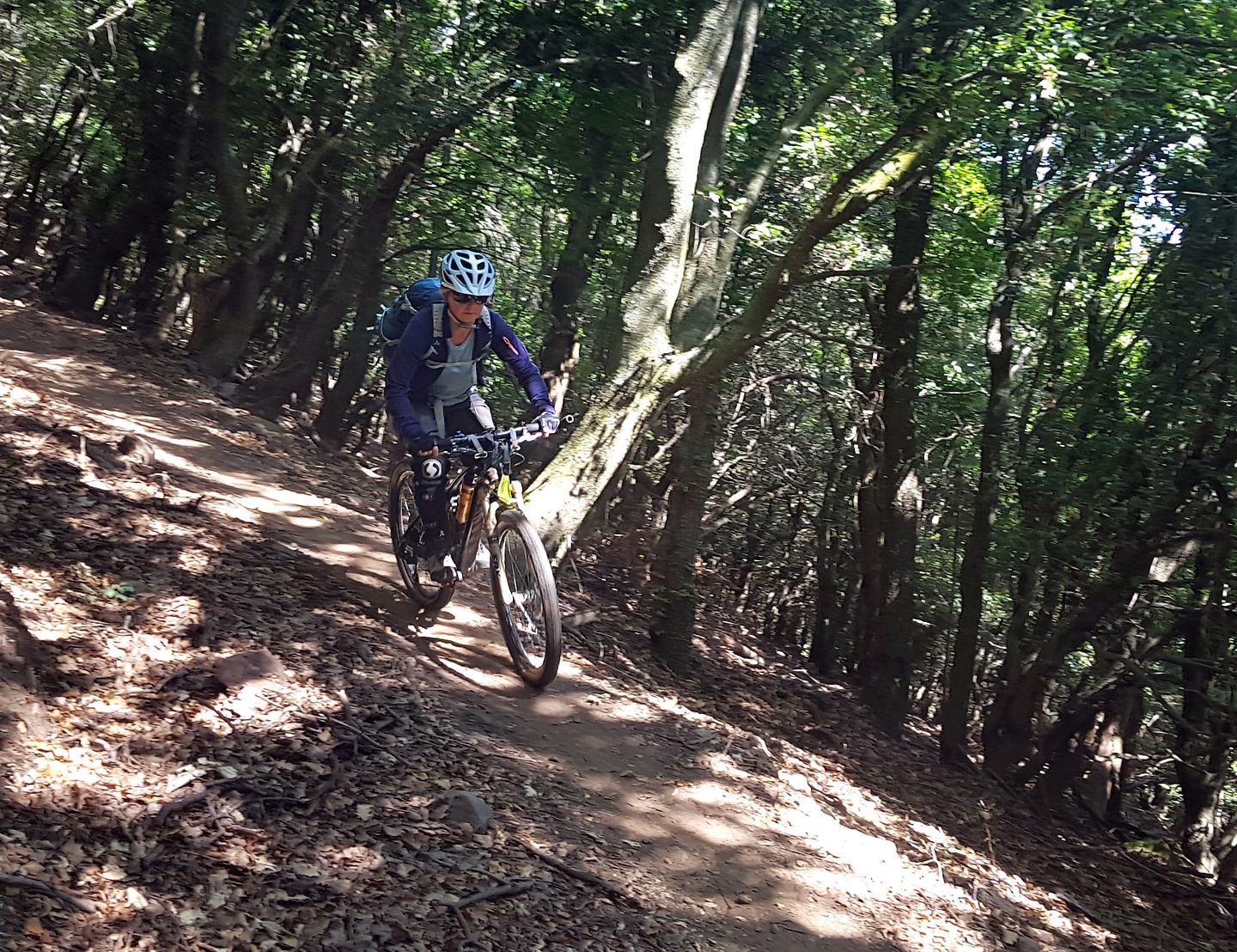banyuls-trail10.jpg