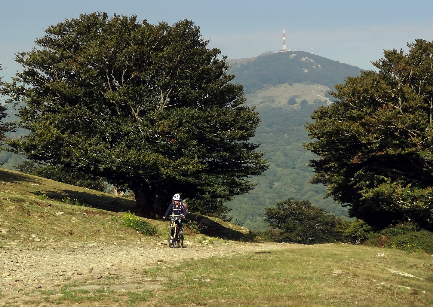 banyuls-uphill.jpg