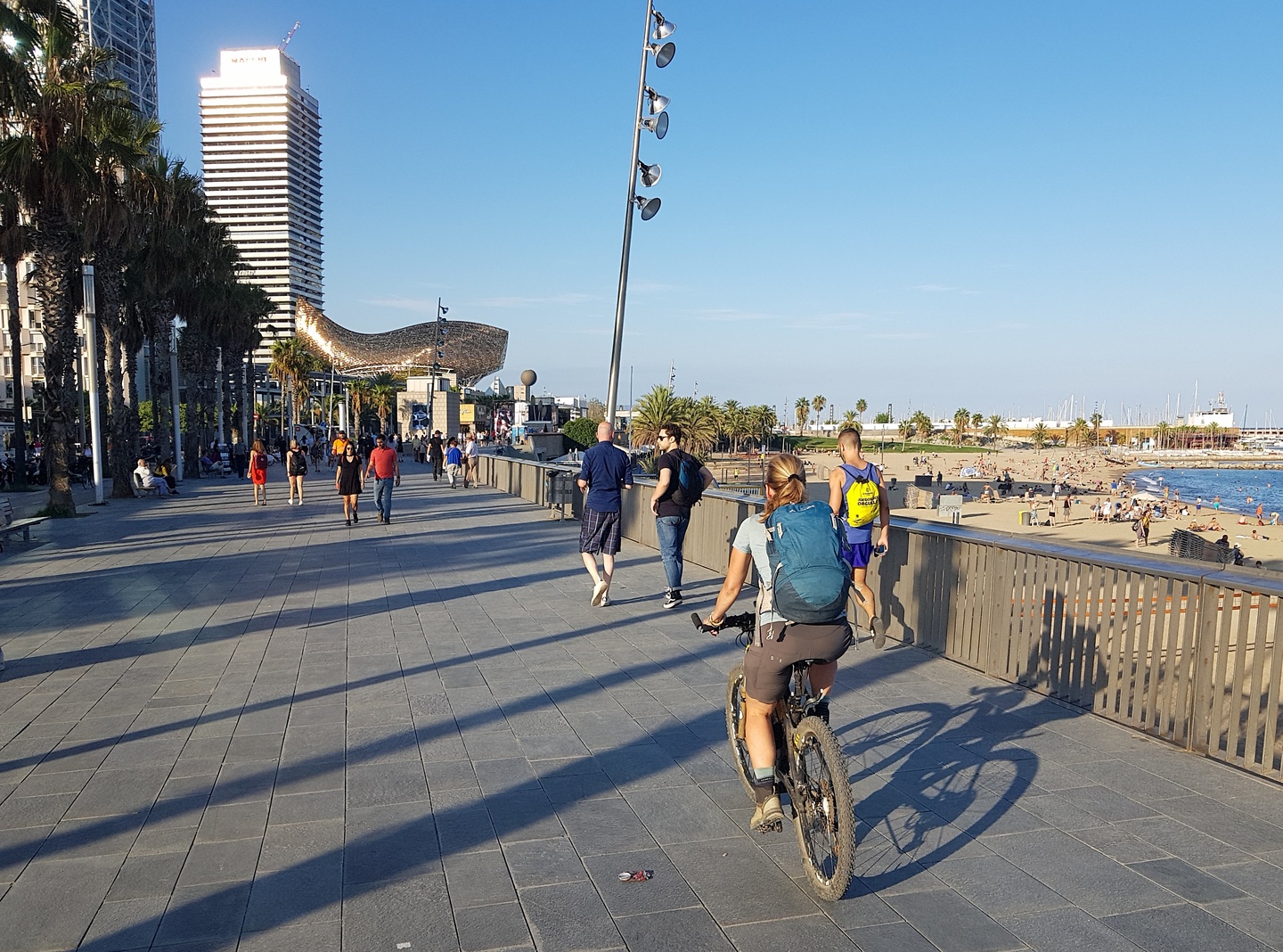 barcelona-beachbike.jpg