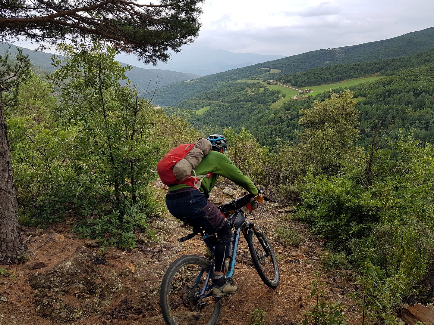 basseta-trail4.jpg