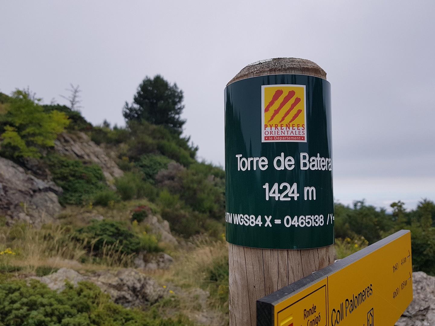 batera-sign.jpg